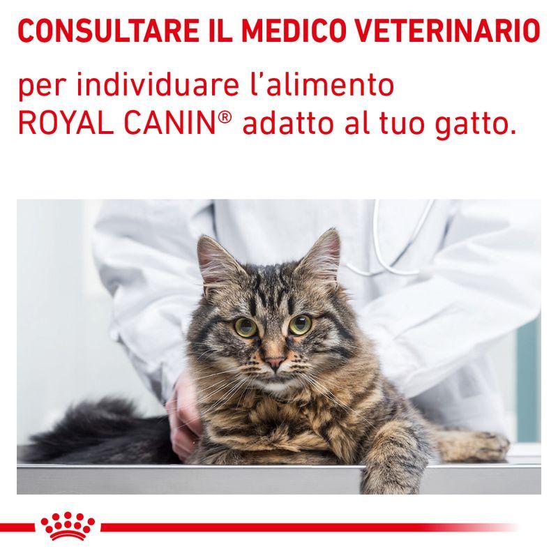 Bitiba Royal Canin Renal Feline Veterinary Alimento umido per gatti 50% di sconto per tempo limitato
