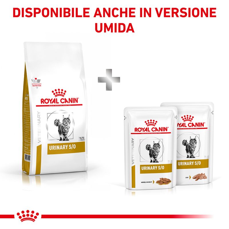 Bitiba Royal Canin Veterinary Feline Urinary S/O Crocchette per gatto 2025