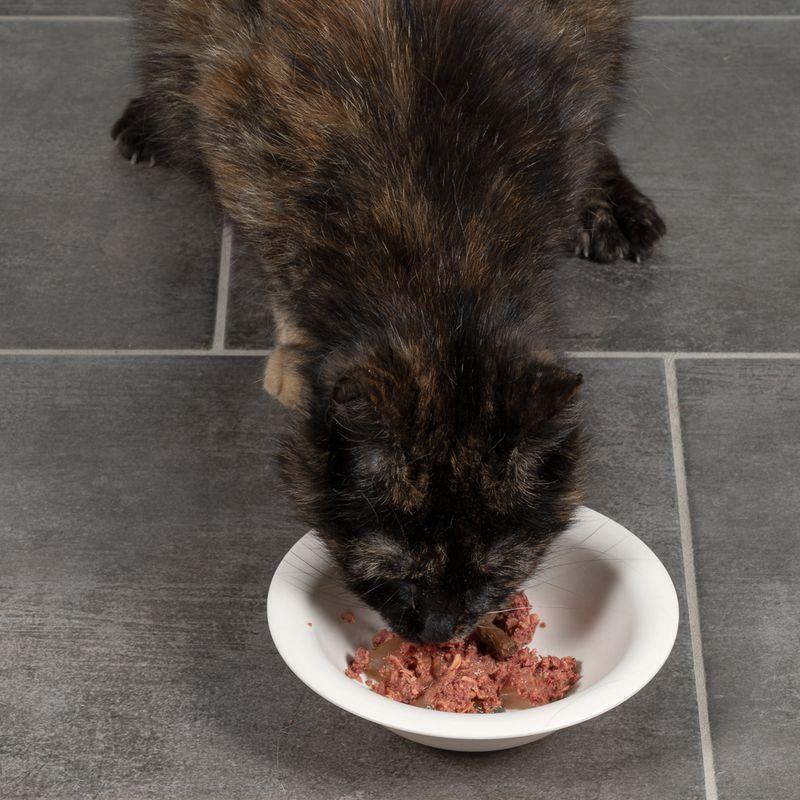 Bitiba Ciotola in bambù per gatti TIAKI Soddisfazione Garantita
