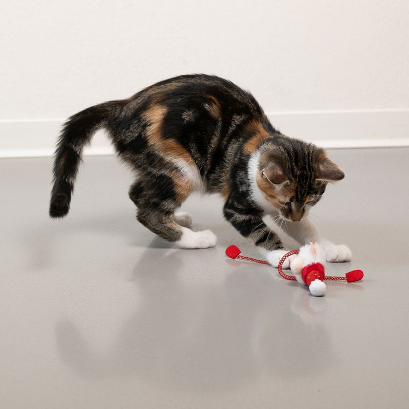 Bitiba Gioco per gatti natalizio TIAKI Santa Long Legs Acquista Ora