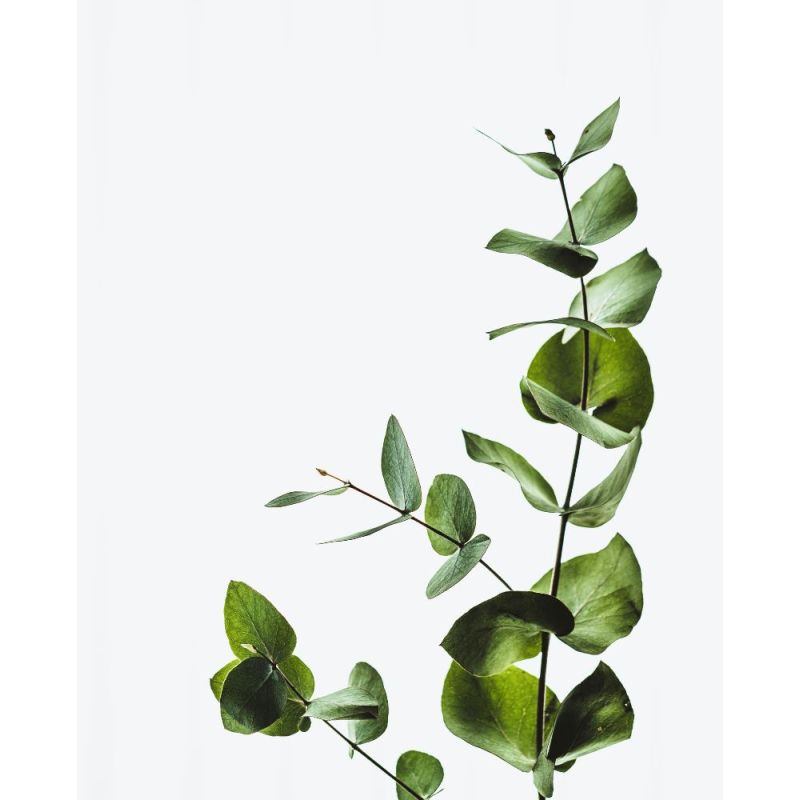 Acca Kappa BURRO CORPO AROMATICO Spedizione Gratuita
