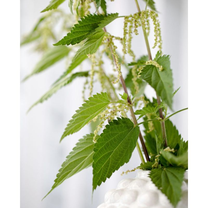 Acca Kappa CREMA MANI AROMATICA Convenienza